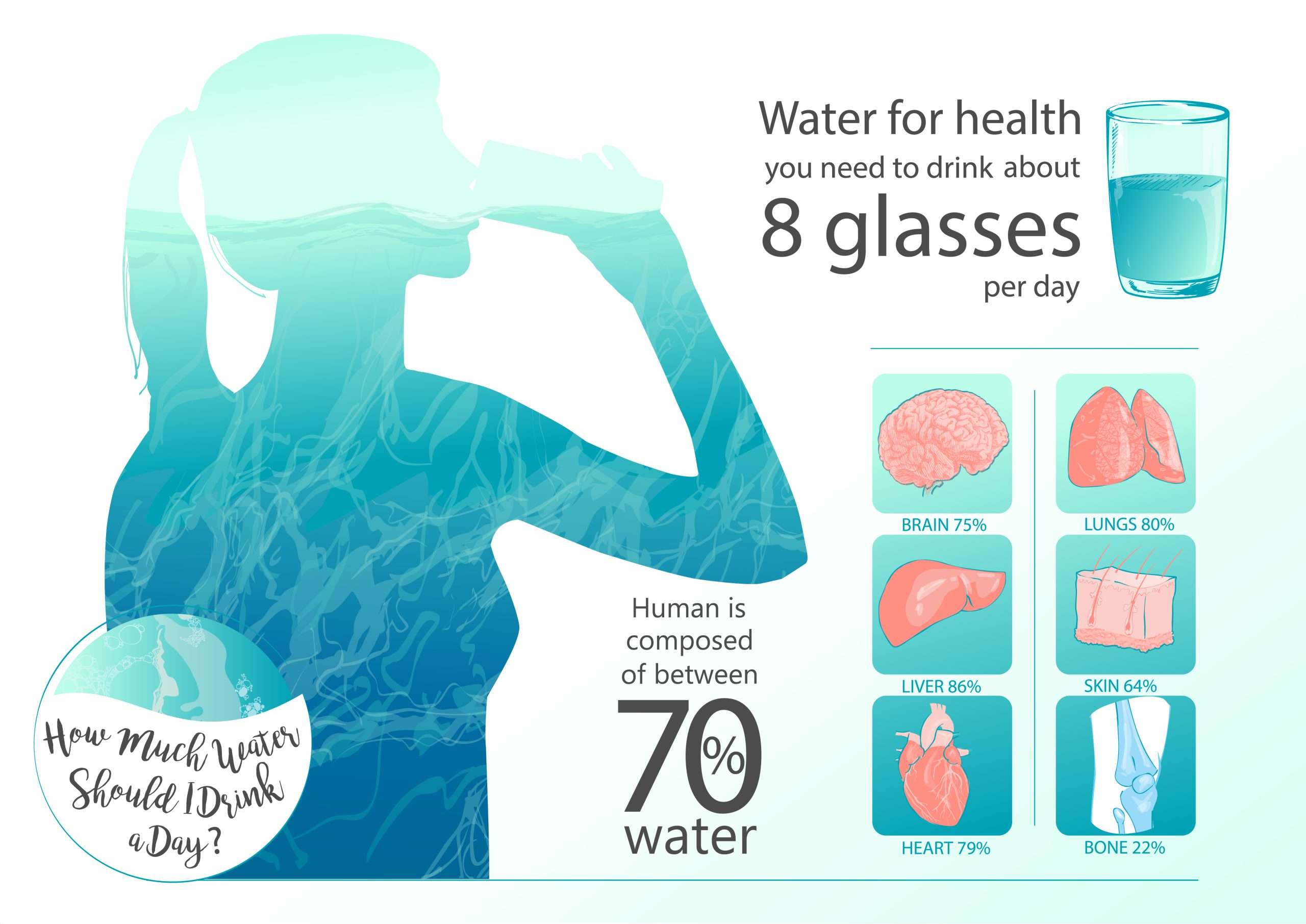 Water's Role in Metabolism